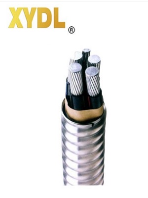 YJLHS (AC90)  稀土铝合金连锁铠装电缆  |稀土铝合金电缆